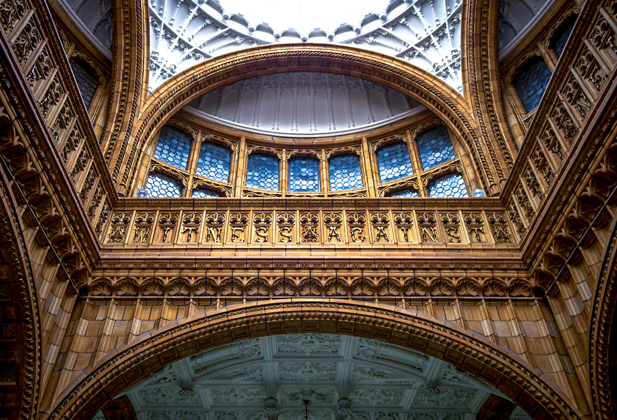 Здание Викторианских судов, интерьер